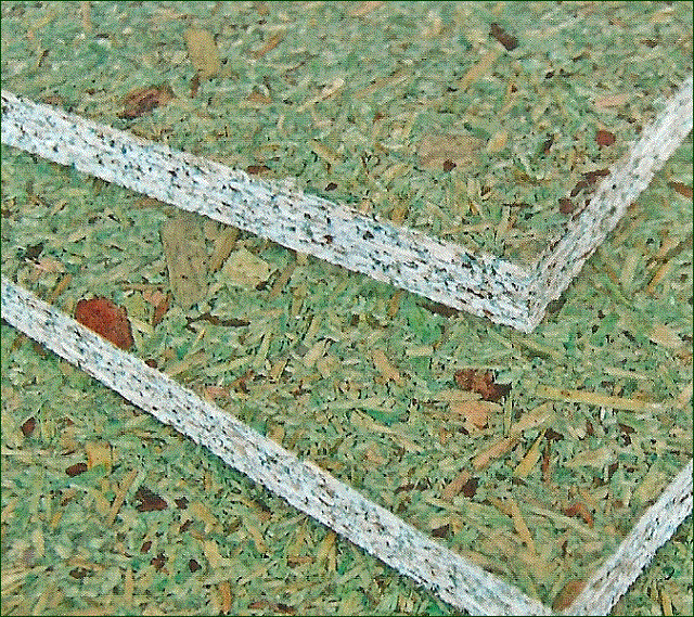 QSB-5 