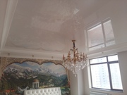 Elite Ceiling 